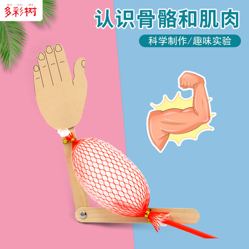 生物教具幼儿园手工发明制作