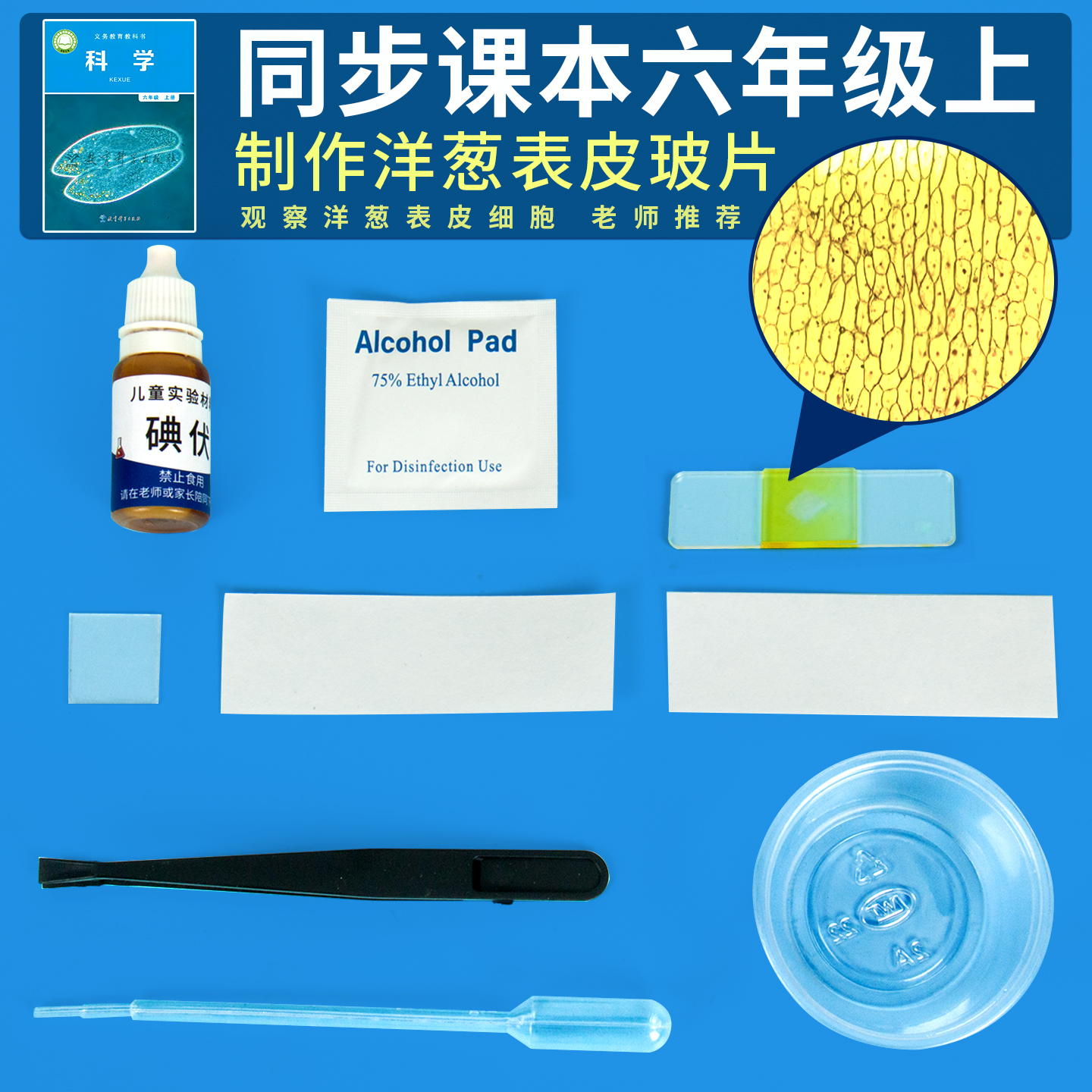 科趣diy细胞玻片生物科学实验