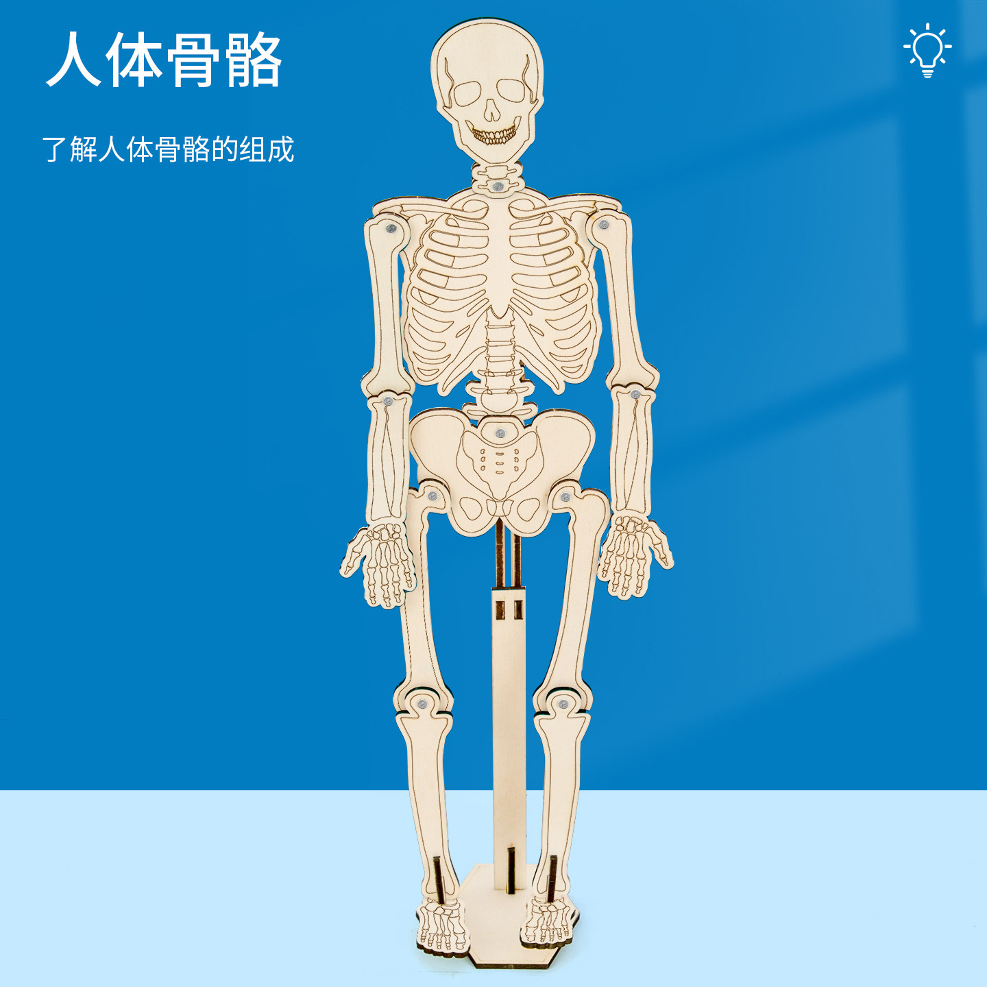 科趣自制人体骨骼科学实验