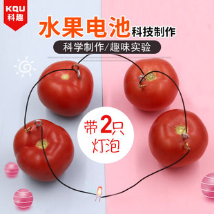 小学生科技小制作小发明水果电池实验材料土豆果蔬发电科学材料包