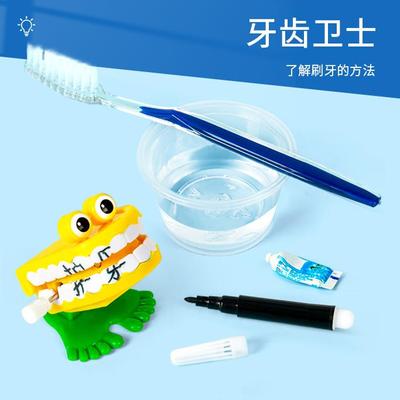 科趣物理diy牙齿卫士牙齿认知