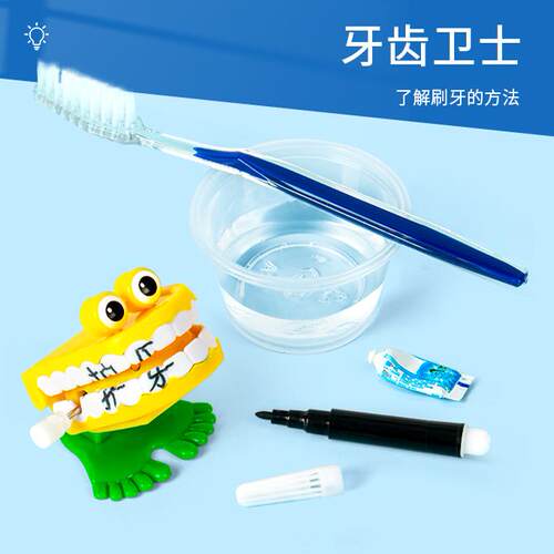 科趣物理diy牙齿卫士牙齿认知