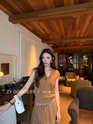 ZY GODDESS简约风纯色V领短袖T恤女宽松显瘦百搭上衣女气质