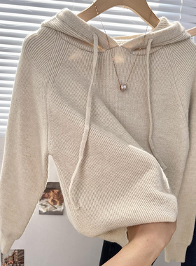 连帽毛衣针织衫女秋装2025年新款宽松带帽上衣秋冬内搭打底衫卫衣