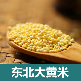 小孟家老品种正宗东北大黄米粽子专用大黄米新米糯米粘糯大黄米