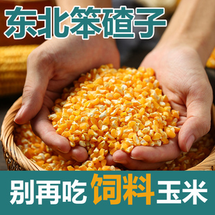 老品种东北粘玉米大碴子新包白苞糯玉米碴子粥中大小粒玉米碎糁粒