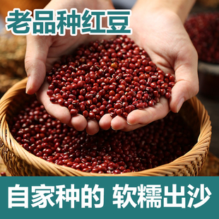 【老品种】东北红豆农家红小豆杂粮新货农家自产红小豆5斤