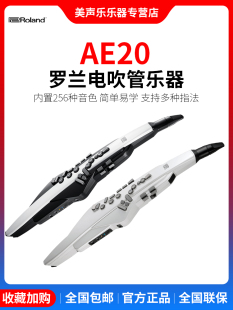 Roland罗兰电吹管乐器AE20AE30中老年人娱乐初学电子萨克斯葫芦丝