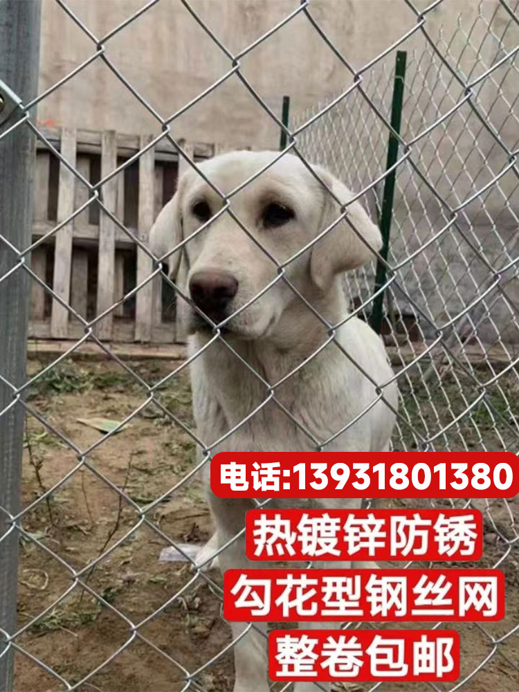 铁丝网养网牛隔离栏围栏狗地花圈猪镀锌养殖网羊鸡果园山勾网鸭圈