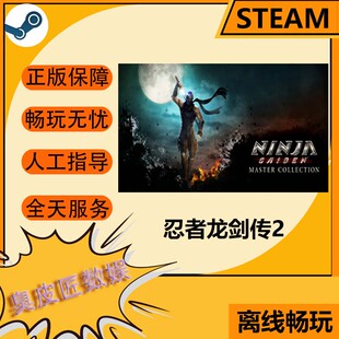 Collection Steam离线游戏 Master GAIDEN 忍者龙剑传 NINJA