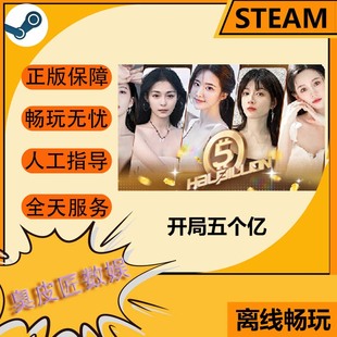 Steam离线游戏 开局五个亿