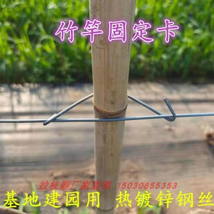 竹竿固定卡子主干绿力篱笆铁支柱果园卡子夹花卉固定器包邮