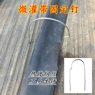 微喷带固定钉 滴灌带专用地布钉镀锌丝微灌带防风u卡子叉厂家直销
