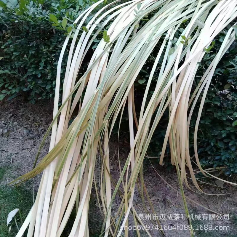 竹编竹片竹篾条软竹条竹艺花艺装置婚庆展厅装饰创意设计