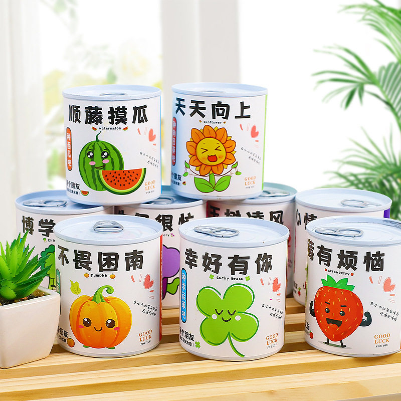 罐装种植小盆栽盲盒儿童生日创意礼物伴手礼幼儿园学生课堂奖励品