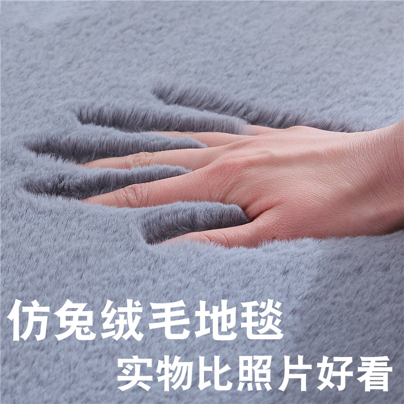 加厚卧室地毯床边定制家用水洗仿兔毛绒地毯撸猫感客厅房间茶几垫
