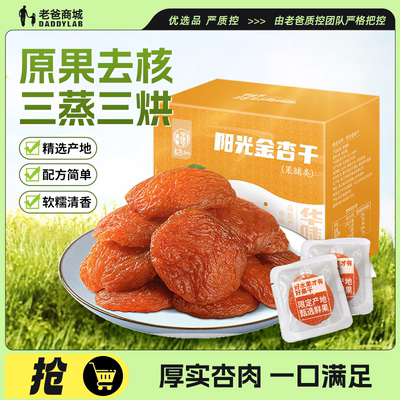 华味亨阳光金杏干果脯蜜饯零食