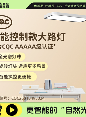 老爸评测智控全光谱护眼落地灯智能大路灯蓝光危害RG0照明