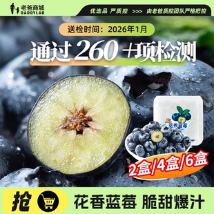 现摘现发 老爸评测西域美农花香蓝莓L25新鲜水果脆甜多汁当季