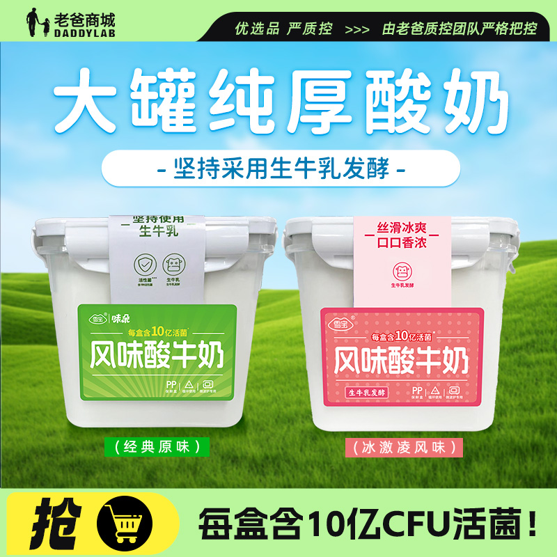 雪宝酸奶生牛乳发酵酸牛奶