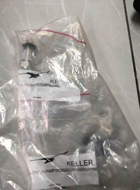 【议价】KELLER PAA-21Y/10bar/81554.33原