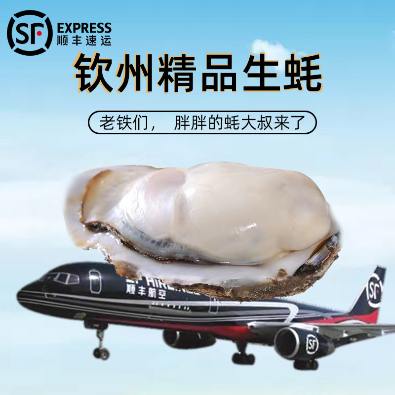 广西生蚝鲜活10斤特大钦州大生蚝优质精品刺身级鲜活带壳牡蛎顺丰
