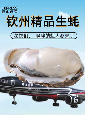 钦州大蚝超大特大生蚝鲜活刺身