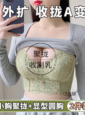 防下垂内衣女聚拢小胸显大收副乳调整型塑型加厚薄款上托文胸罩夏
