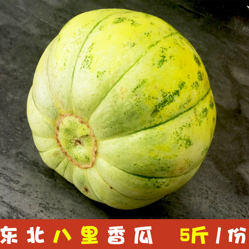 东北八里香香瓜黑龙江甜瓜瓜姑娘脆瓜现摘现发当季水果5斤产地直