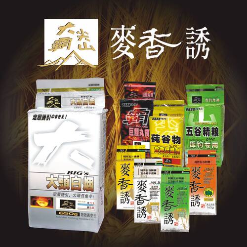 南北散炮巨鲤黑坑野钓鲫鱼纯谷物