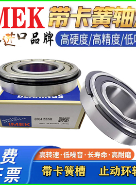IMEK日本进口带卡簧槽轴承6306 6307 6308 6309 6310 6311 6312 N