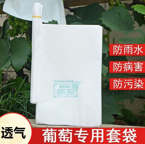 包套葡萄专用套袋纸袋专用袋阳光