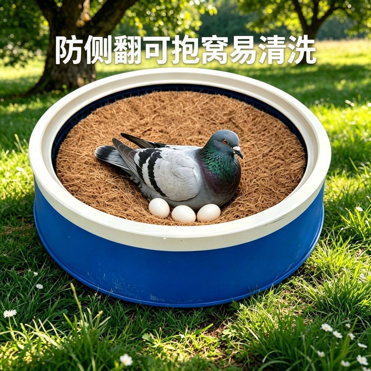 信鸽鸽子用品用具鸽子塑料圆形