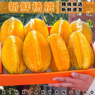 【特惠杨桃】现摘现发5斤大果香甜多汁树上熟的“甜”当季