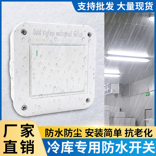 冷库防水防潮开关10A单开单控