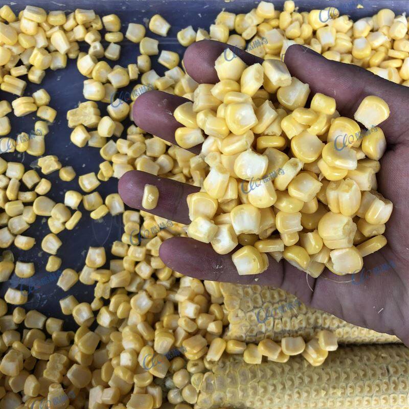 工程玉米脱粒机 甜玉米脱粒机 糯玉米脱粒机 全自动小型玉米脱粒