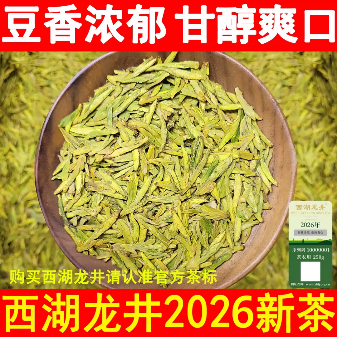 梅家坞龙井茶明前特级嫩芽250g
