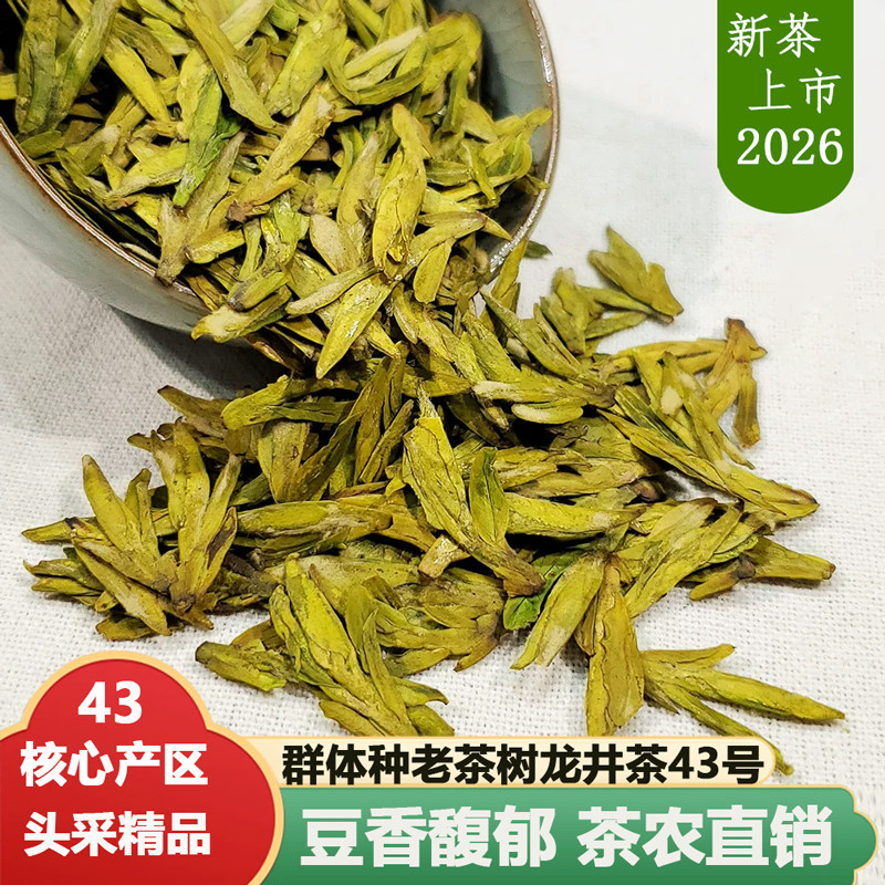 2026明前头采特级嫩芽龙井茶