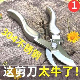 德国省力树剪不锈钢弹簧剪树枝剪刀修枝剪果树园艺花果摘果园林