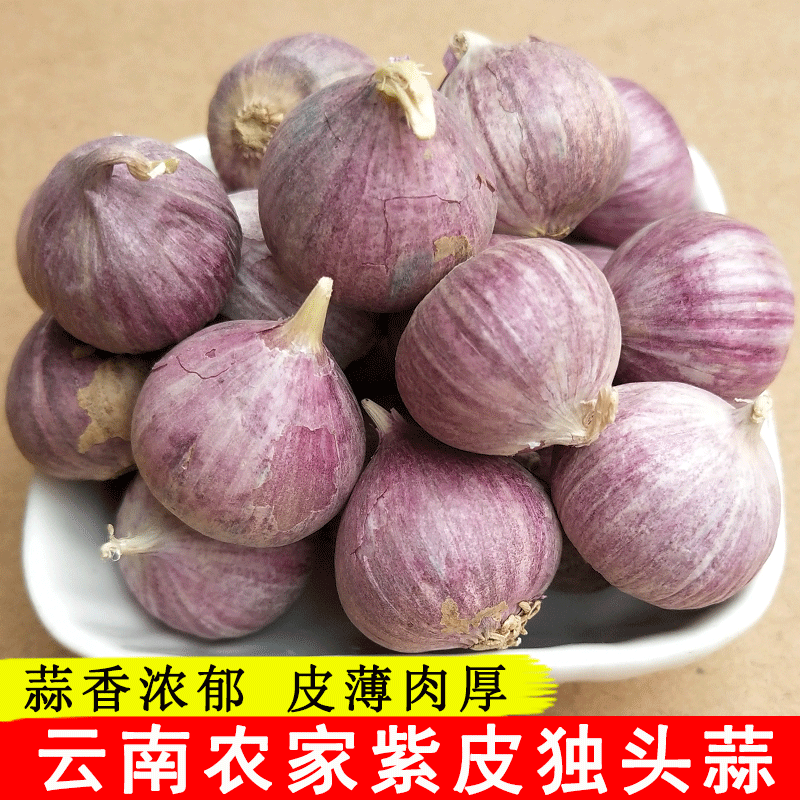 云南大蒜紫皮新鲜独头蒜农家红皮大头蒜干蒜独蒜独头大蒜子蔬菜
