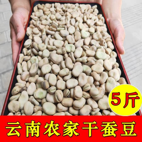 干蚕豆云南5斤装新鲜带壳