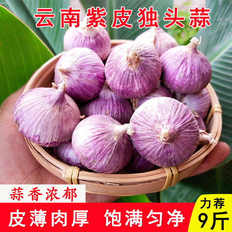 云南珍珠独头蒜大蒜头紫皮蒜新鲜紫蒜独蒜红皮新蒜子大蒜独头大蒜