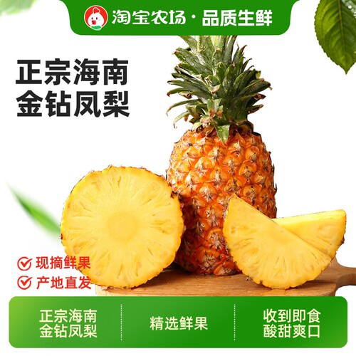 金钻凤梨海南特产新鲜手撕无眼树上熟热带水果整箱菠萝正宗鲜果