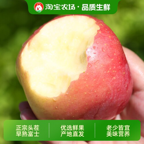 新鲜早熟红富士苹果应当季水果苹果冰糖批发整箱包邮苹果优质水果