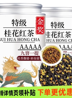 5A九窨特级正宗桂花红茶2024新茶正山小种红茶浓香型桂花耐泡