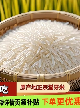 猫牙米正宗长粒香米象牙米批发价软糯特价有机无抛光细长米煲仔饭