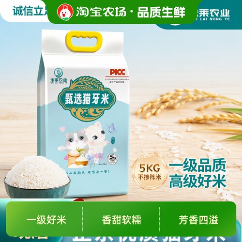 优质一级新鲜猫牙米5kg