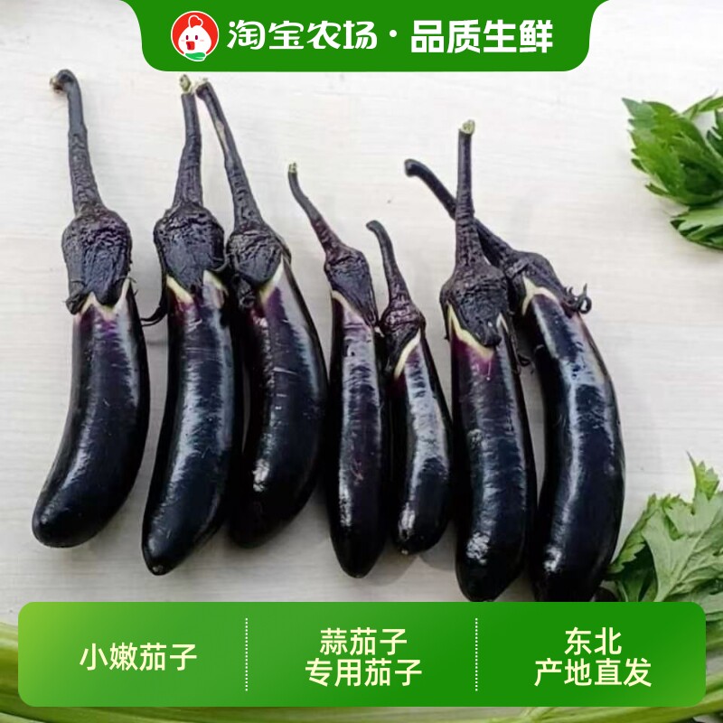 东北小紫茄子水果茄子生吃蘸酱做蒜茄子健美菜系列黑裤农家自种新