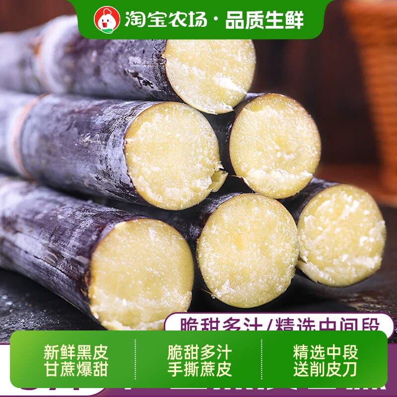 广西黑皮甘蔗新鲜现砍特产紫皮甘蔗孕妇水果脆甜榨汁应季新鲜水果
