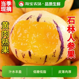 云南石林人参果新鲜水果当季整箱树上熟黄果圆果人生果娃娃现摘
